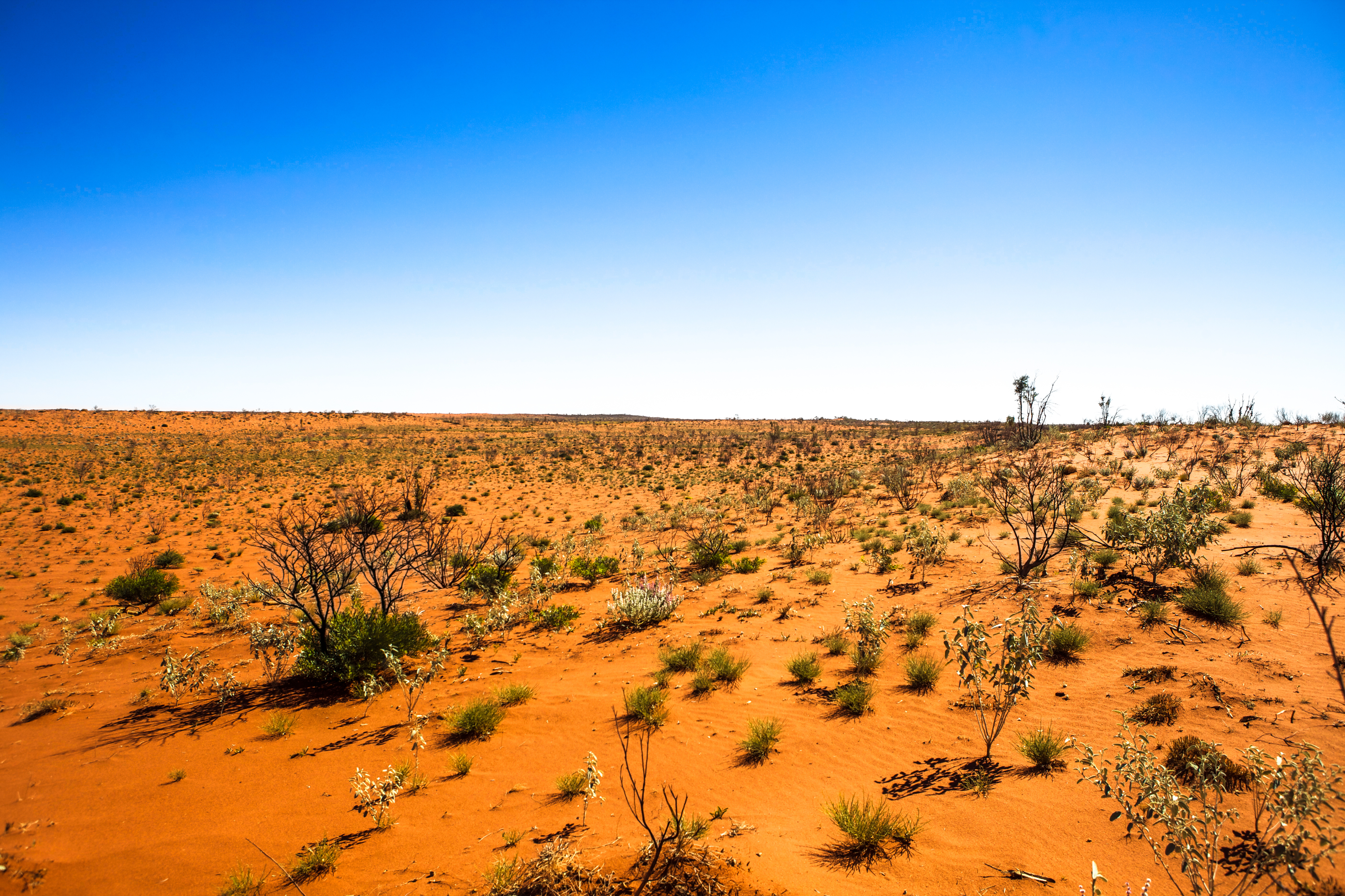 Photograph of Australian outback
