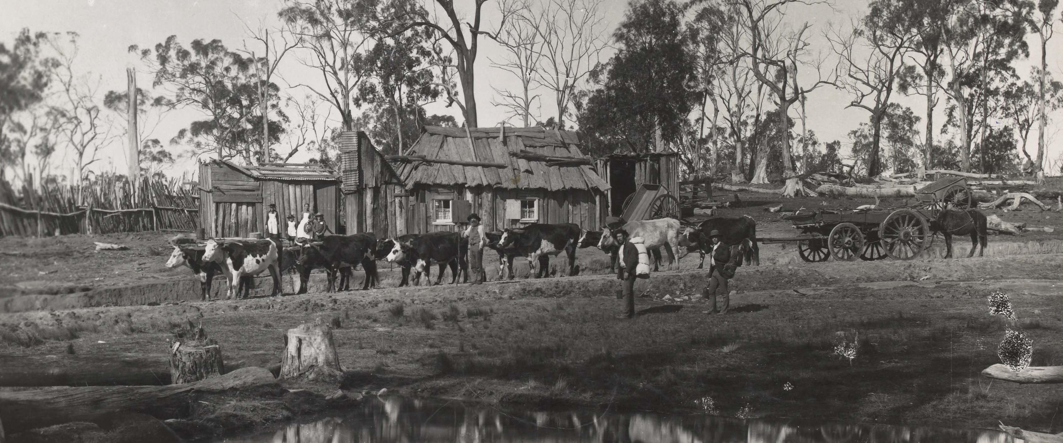 Introduction of Robertson Land Acts Australia’s Defining Moments Digital Classroom National